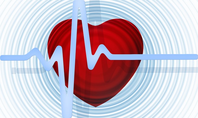 Hrana za zdravo srce: 8 koraka do prevencije bolesti srca